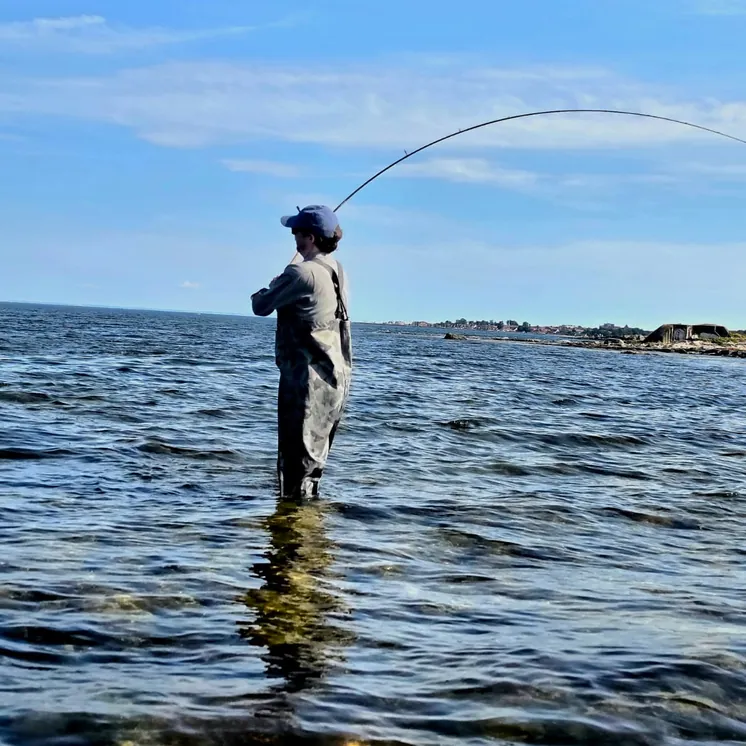 Danny fighting a sea trout from the shore on a guided trip in Skåne