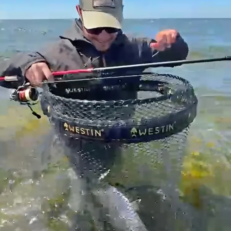 Jan from Germany with a sea trout in the landing net on the Skåne coast