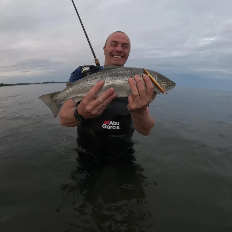 William with a Baltic sea trout from a guided day around the Malmö coastline